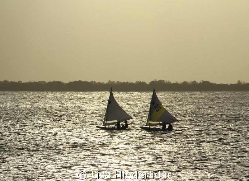 Sunset Racers. by Lisa Hinderlider 