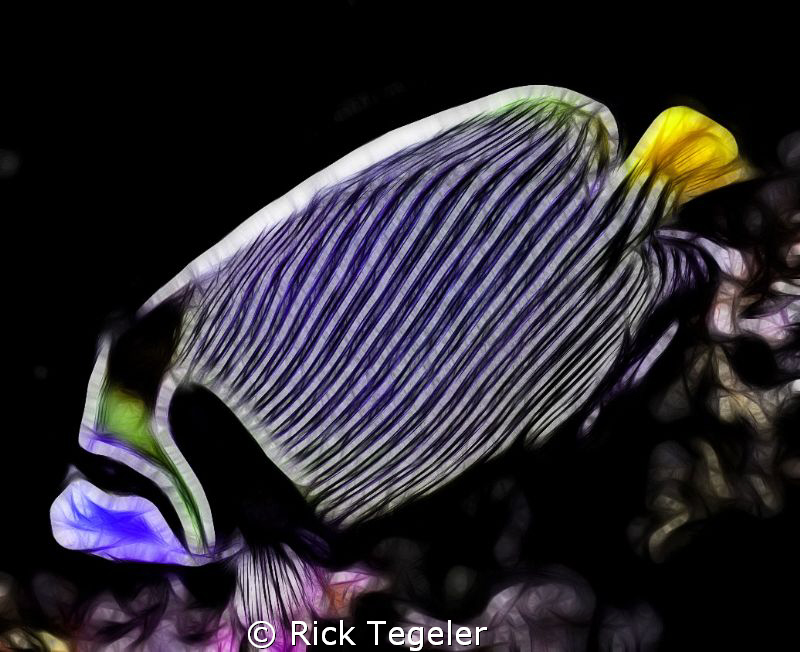 The Emperor!  Enjoy! by Rick Tegeler 