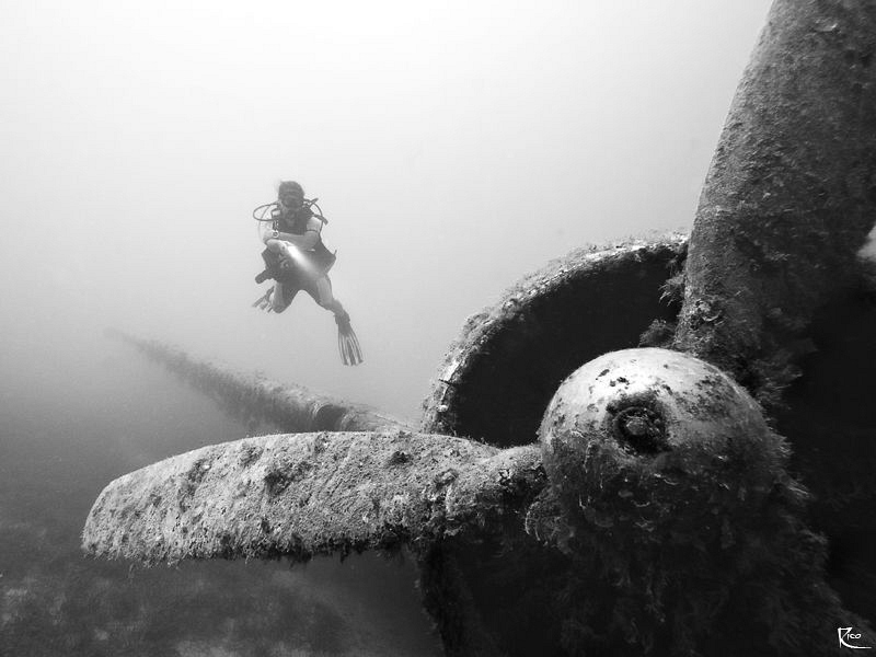 Airplane Wreck by Rico Besserdich 