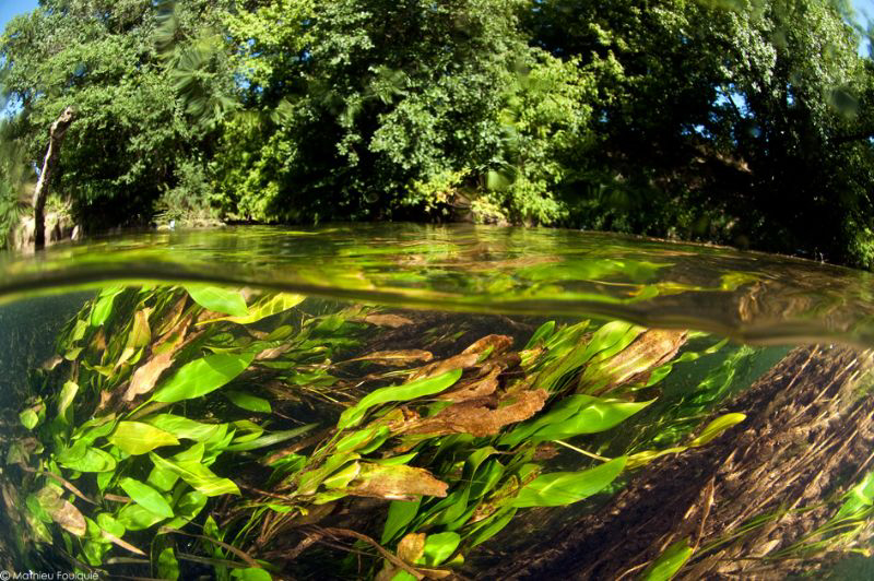 fresh water over-under by Mathieu Foulquié 