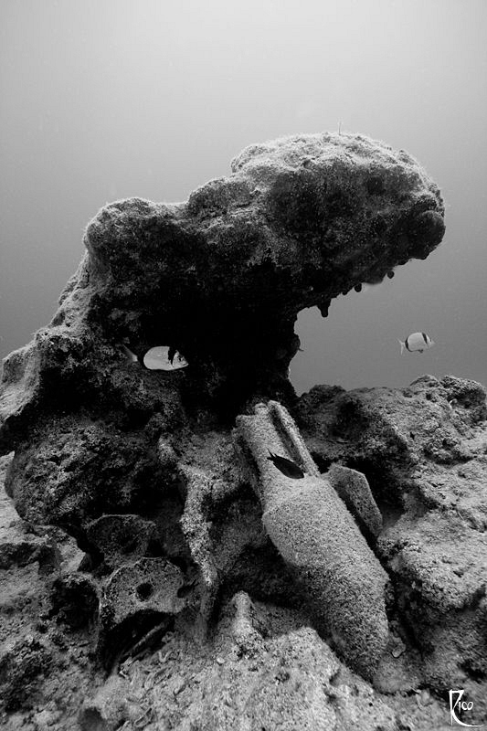 Ancient amphora ( dated to 500 BC ) . Taken in B/W using ... by Rico Besserdich 