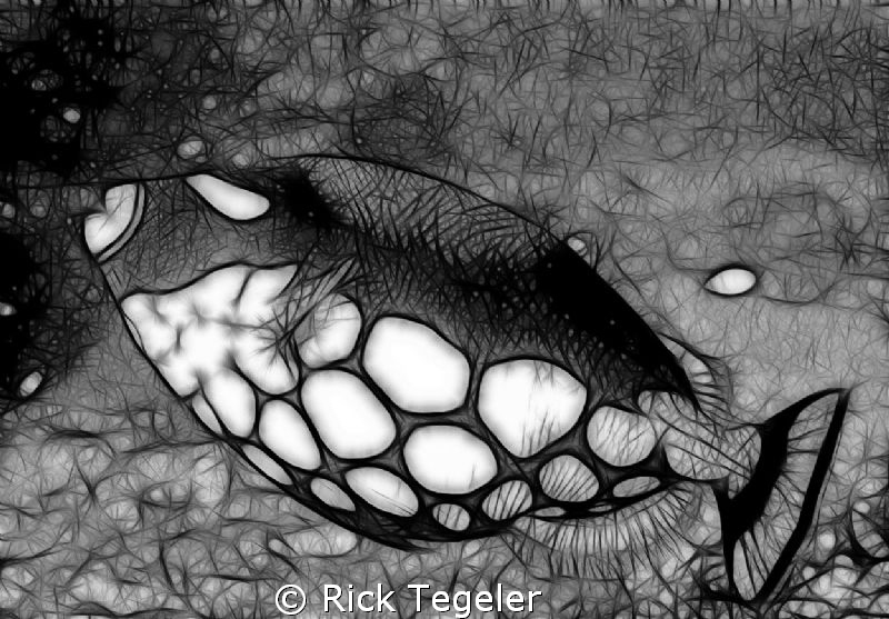 Bring in the Clowns.  Enjoy! by Rick Tegeler 