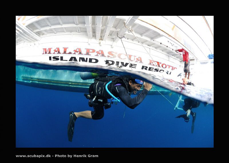 Lets go to down to watch the Thresher Sharks :) Balt is m... by Henrik Gram Rasmussen 