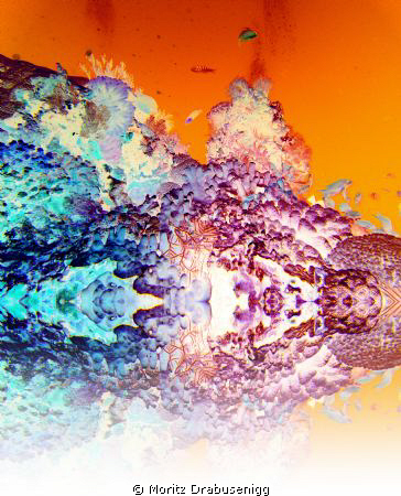 It used to be a reef :)

 by Moritz Drabusenigg 