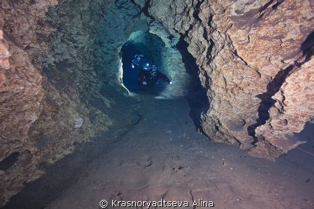 divers swimming along the tunnel of the Orange Grove Sink... by Krasnoryadtseva Alina 