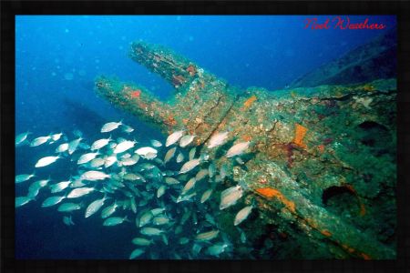 The U-352 German WW II Sub of the coast of North Carolina. by Noel Weathers 