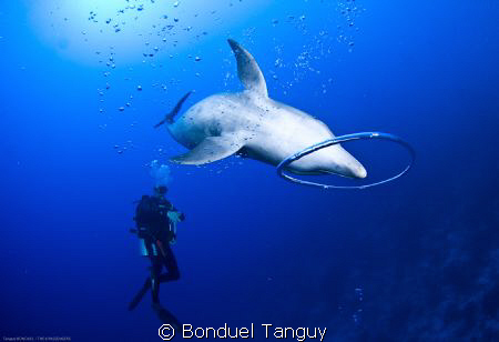 Tu prenais du plaisir
A faire des ronds dans l'eau... ;=) by Bonduel Tanguy 