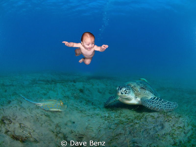 Kindergarten... by Dave Benz 