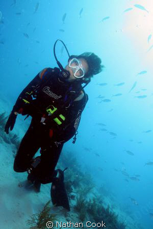 Shallow dive in Marathon Key, FL. Canon 350D Ikelite hous... by Nathan Cook 