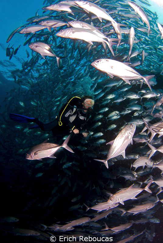 Diver and Jack Tornado. by Erich Reboucas 