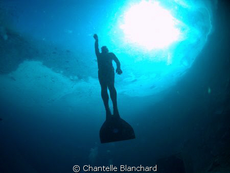 Taking shots of free divers under the ice. I did not have... by Chantelle Blanchard 