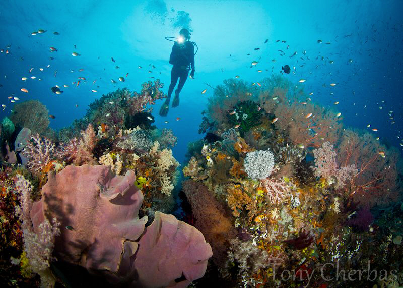 Kaleidescope Ridge: Raja Ampat by Tony Cherbas 