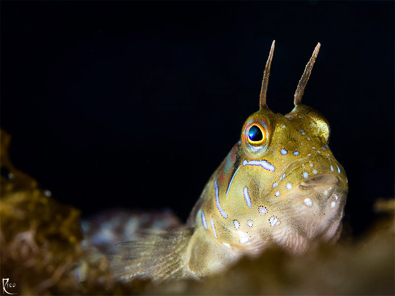 "ready to broadcast" ;-) by Rico Besserdich 