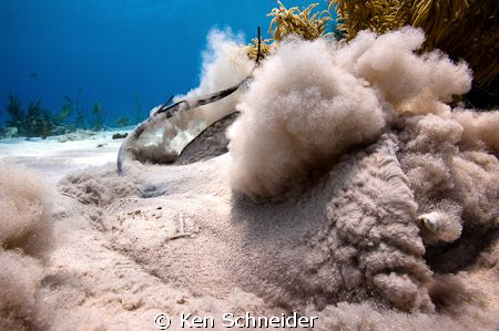 Nikon d700,17mm,ISO 200, f14, 1/160sec. We were at 30ft, ... by Ken Schneider 