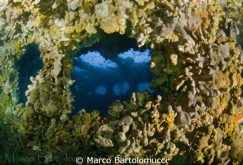 THE BARON GAUTSH WRECK - OFFSORE ROVIGNO- CROAZIA by Marco Bartolomucci 
