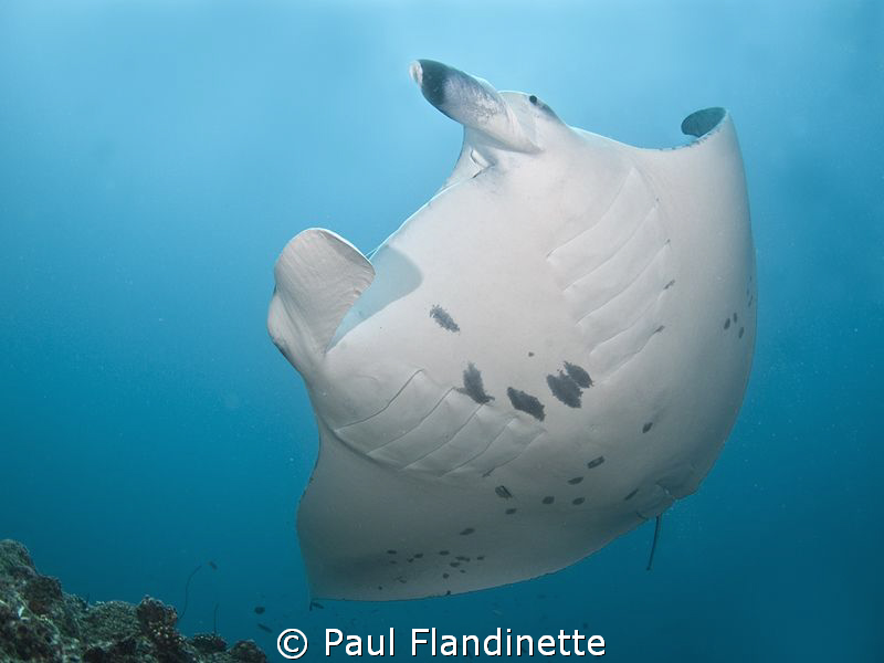 Taken on a cleaning station, using a Tokina 10-17 by Paul Flandinette 