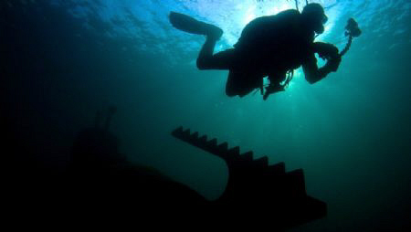 An underwater photographer leaves one subject behind to l... by Spencer Burrows 