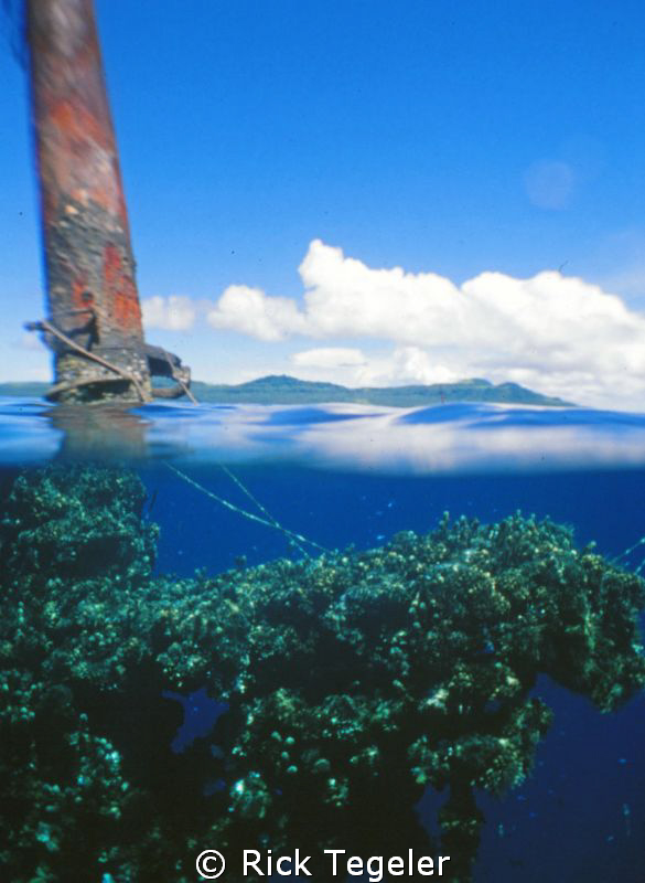 Fujikawa mast. by Rick Tegeler 