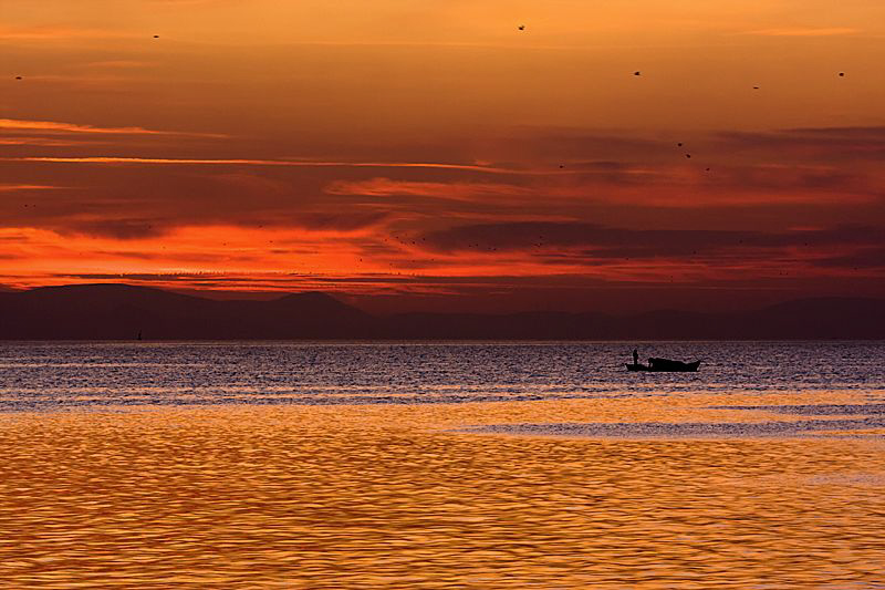 "Sea of gold"
While sunset light turns the water surface... by Rico Besserdich 