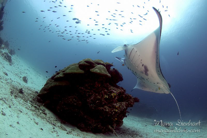 @ cleaning station by Mona Dienhart 