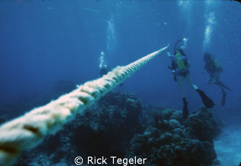 The rope home... by Rick Tegeler 