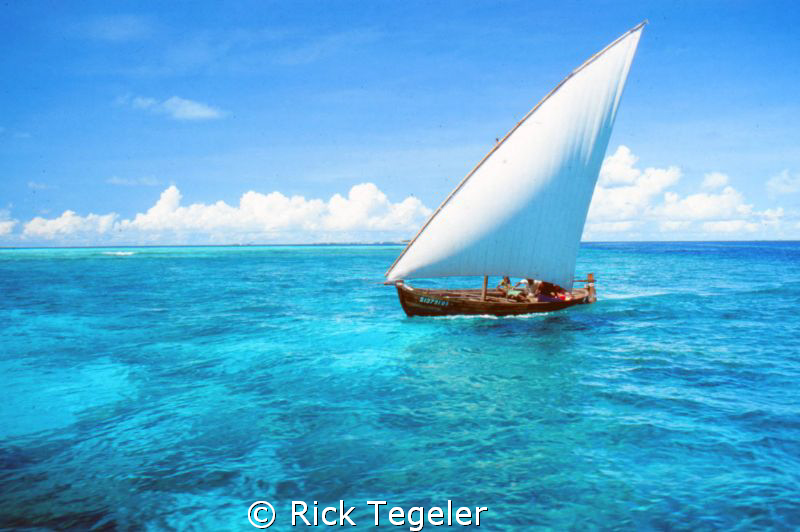 Perfect! by Rick Tegeler 