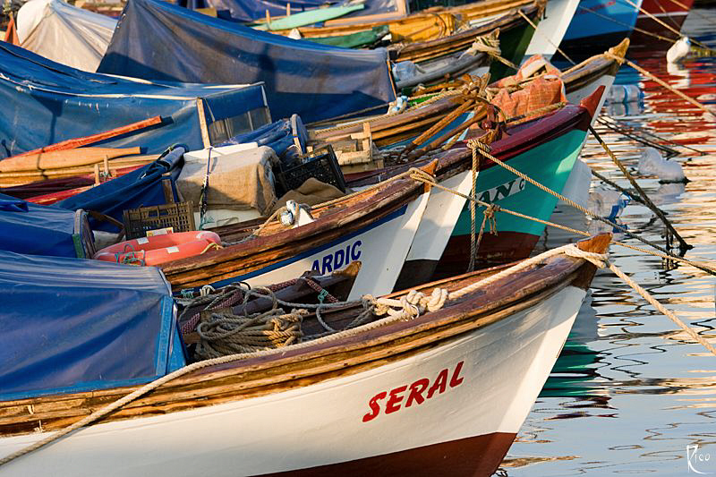 Fishing Boats in the light of the sunset :-) by Rico Besserdich 