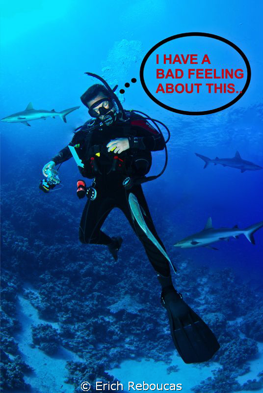 A Remora stuck to your leg... 
Hmmm, I have a bad feelin... by Erich Reboucas 