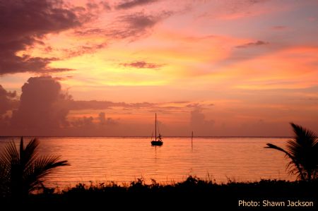 roatan, honduras. by Shawn Jackson 
