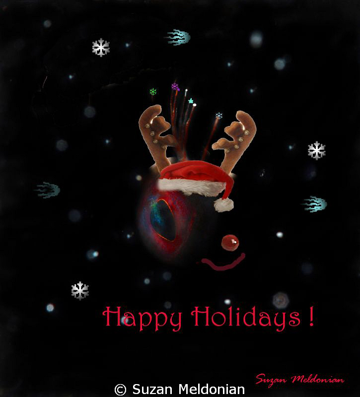 Have a very Blenny Christmas & a Happy New Year by Suzan Meldonian 