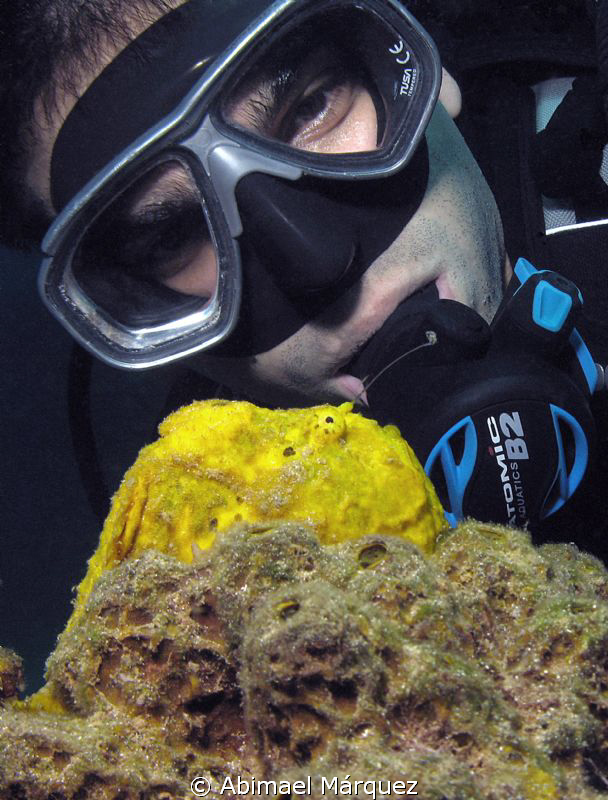 Eduardo and the Frogfish. by Abimael Márquez 