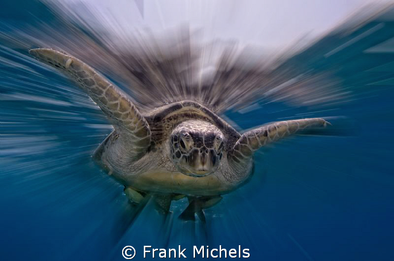 Warpspeed by Frank Michels 