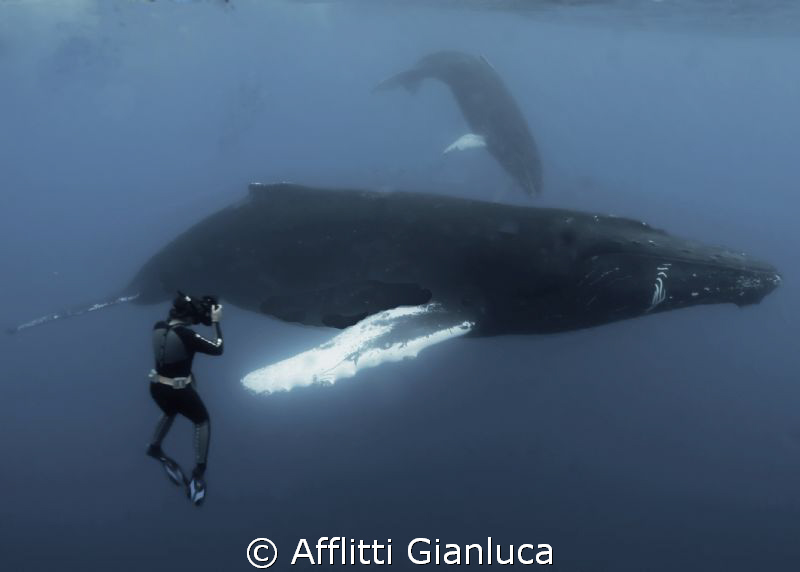 "big" meeting by Afflitti Gianluca 