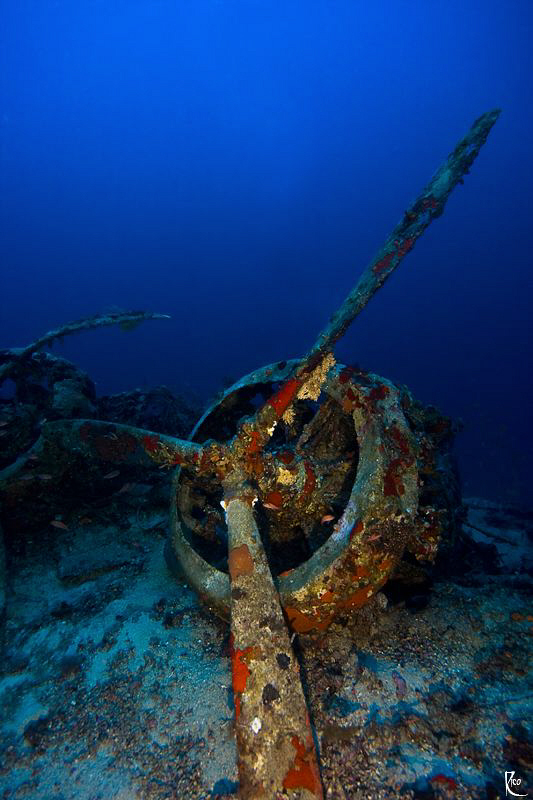 Remainings of an italian bomber aircraft in 66 meters depht. by Rico Besserdich 