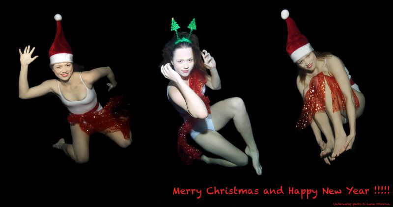 Merry Christmas and Happy New Year !!!! by Lucie Drlikova 