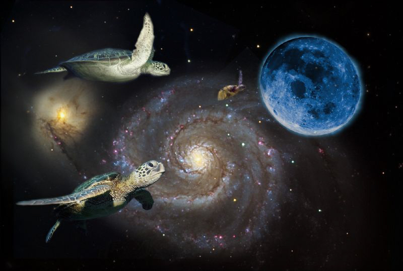 Back to turtle planet by Alex Varani 