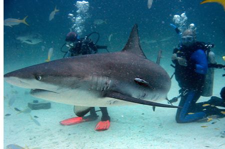 Nassau, Bahamas by Eric Roderick 