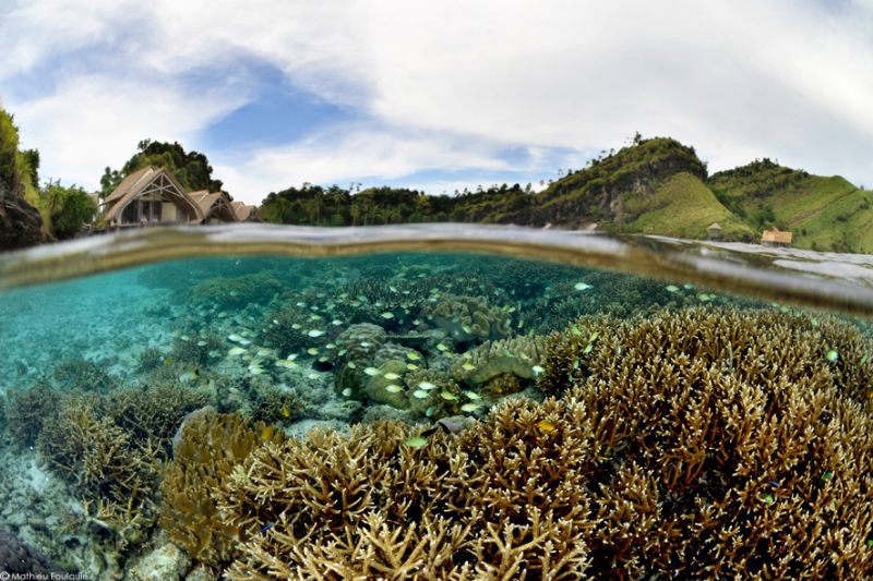raja Ampat by Mathieu Foulquié 