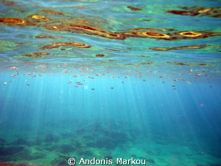 Breathtaking sun rays filtering through. Taken in Green B... by Andonis Markou 