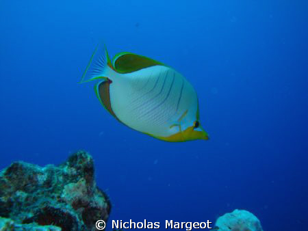 Flic en Flac. Sony Cybershot by Nicholas Margeot 