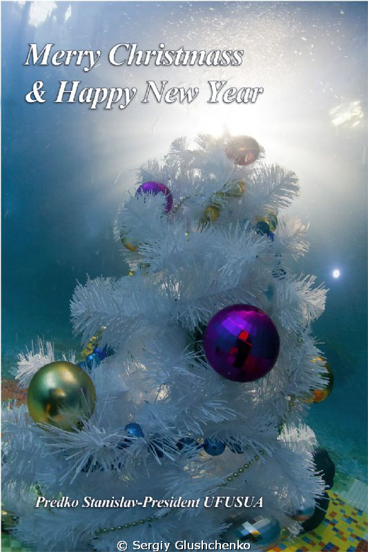 Merry Christmass and Happy New Year!!! by Sergiy Glushchenko 