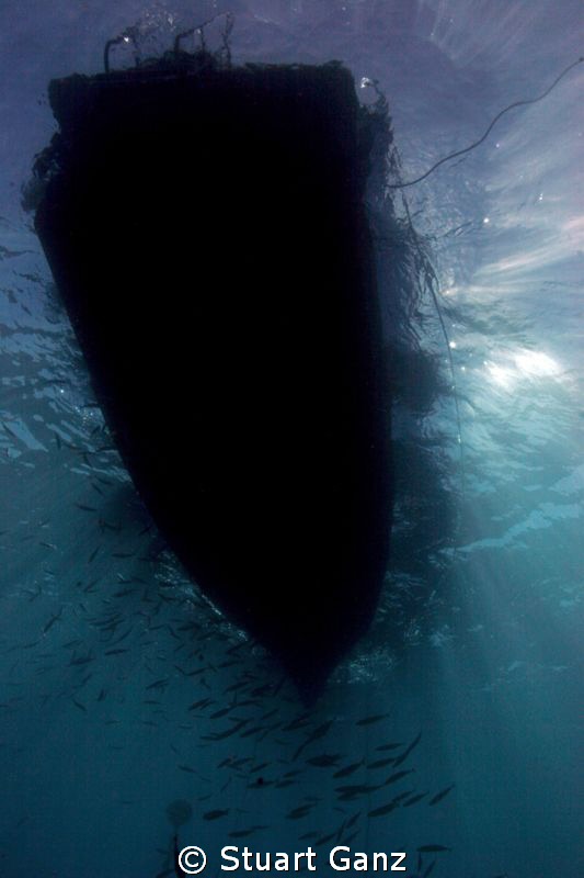 The fish gather under the boat, the sun is low on the hor... by Stuart Ganz 