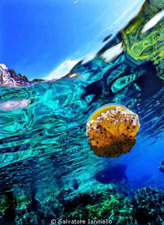 a pelo del mare by Salvatore Ianniello 