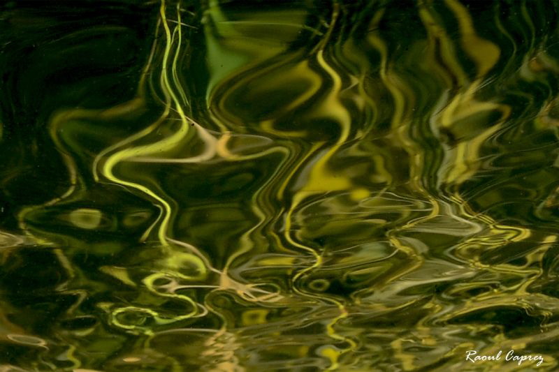 Reed reflection in a small pond under a thin ice cover by Raoul Caprez 