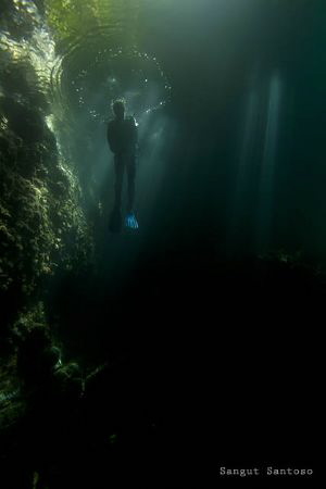 Alone by Sangut Santoso 