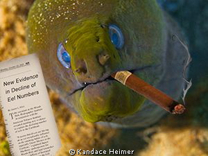 This is a creative image that I produced in Photoshop. Th... by Kandace Heimer 