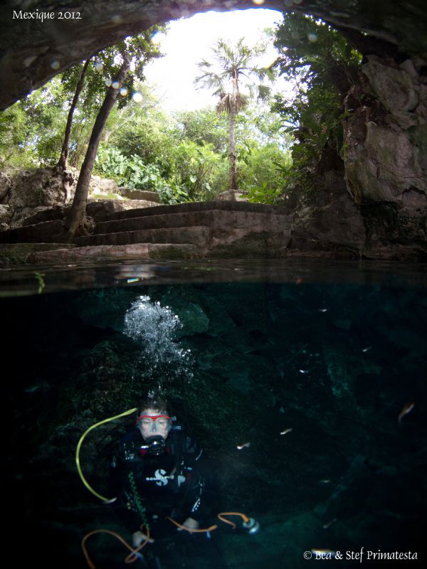 Dive the jungle ;-) by Bea & Stef Primatesta 