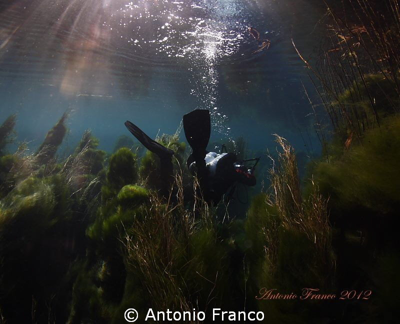Dive into the Chidro River.
Natural light by Antonio Franco 