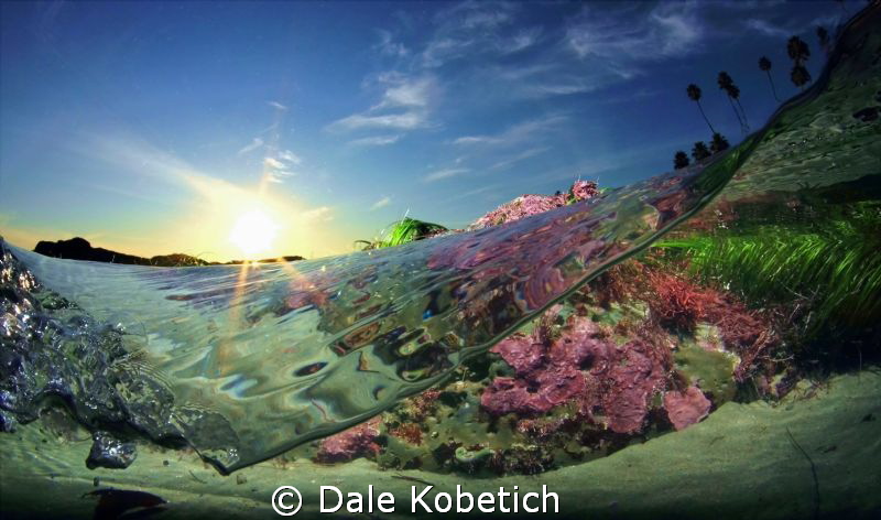 low tide afternoon laguna Beach...home made dome and hous... by Dale Kobetich 