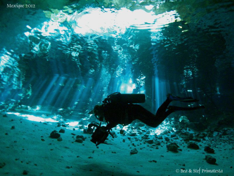 Cenote. by Bea & Stef Primatesta 